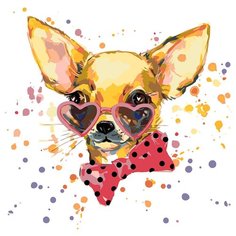 Картина по номерам Живопись по Номерам "Модный чихуахуа", 40x40 см