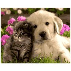 Картина по номерам Цветной "Щенок и котенок", 40x50 см