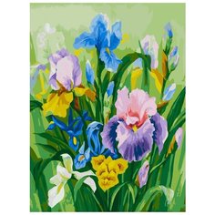 Картина по номерам Белоснежка "Нежные ирисы", 30x40 см