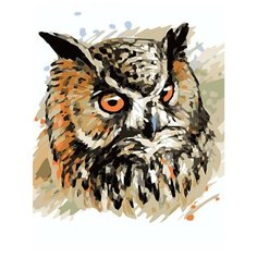 Картина по номерам Цветной (Premium) "Мудрая сова", 30x40 см