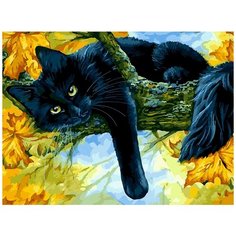 Картина по номерам Белоснежка "Осенний кот", 30x40 см