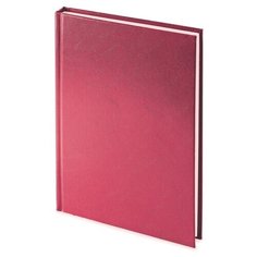 Ежедневник недатированный А5 «Ideal New», бордовый Альт
