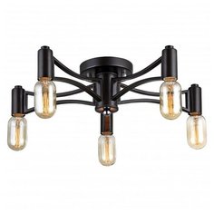 Потолочная люстра Favourite Tropfen 1523-5U