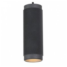 Подвесной светильник Favourite Kinescope 2452-1P