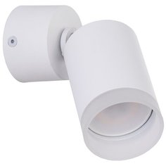 Люстра Arte Perfetto Luce A113529