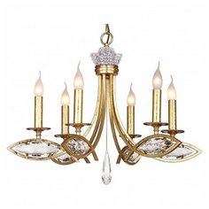 Подвесная люстра Favourite, 6х40W, золото, размеры (мм)-680x1540, плафон - неокрашенный