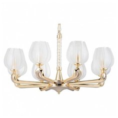 Подвесная люстра Lightstar, 8х40W, золото, размеры (мм)-810x1700, плафон - неокрашенный