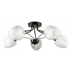 Потолочная люстра Arte Lamp, 5х60W, черный, размеры (мм)-720x230, плафон - белый