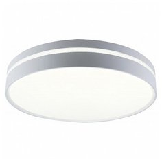Накладной светильник Escada Led 7 10224/S LED