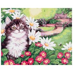 Картина по номерам "Пушистик", 30x40 см Белоснежка