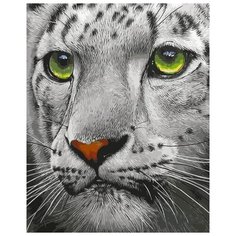 Картина по номерам "Белый тигр", 30x40 см Цветной