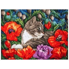Картина по номерам "Кот в маках", 30x40 см Белоснежка
