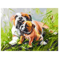 Картина по номерам "Гордая мамаша", 30x40 см Белоснежка