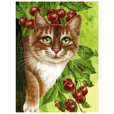 Картина по номерам "Кот на вишневом дереве", 30x40 см Белоснежка