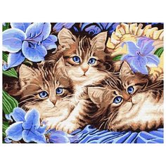 Картина по номерам Цветной "Котята в цветах", 30x40 см