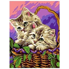 Картина по номерам Цветной "Котики в корзинке", 30x40 см