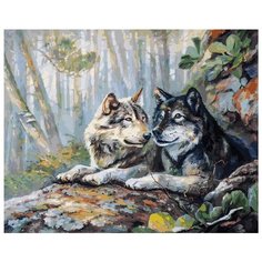 Картина по номерам Белоснежка "Пара", 40x50 см