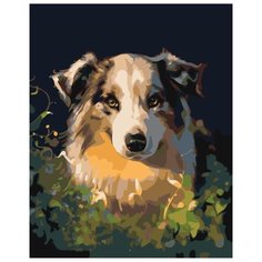 Картина по номерам Живопись по Номерам "Собачий взгляд", 40x50 см