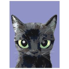 Картина по номерам Живопись по Номерам "Уголёк", 30x40 см