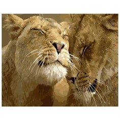 Картина по номерам Цветной "Львиная семья", 30x40 см