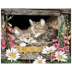 Картина по номерам Цветной "Котята в гнезде", 40x50 см