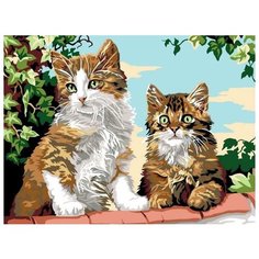 Картина по номерам Цветной "Котята на заборе", 30x40 см