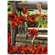 Картина по номерам Цветной "Маки у колодца", 30x40 см