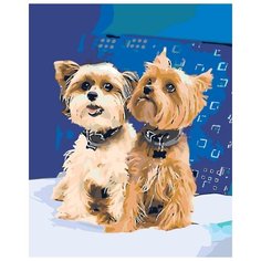 Картина по номерам Живопись по Номерам "Йоркширские терьеры", 40x50 см