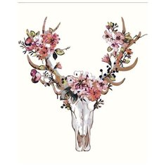 Картина по номерам Живопись по Номерам "Череп 6", 40x50 см