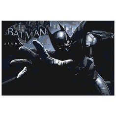 Картина по номерам Живопись по Номерам "Бэтмен 2", 40x60 см