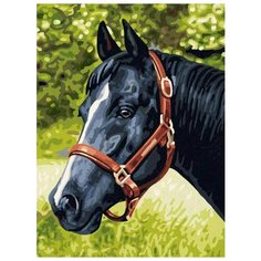 Картина по номерам Цветной "Вороной", 30x40 см