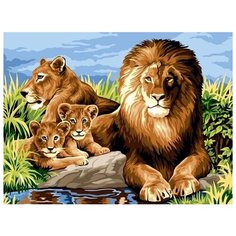 Картина по номерам Цветной "Львиный прайд", 30x40 см