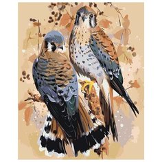 Картина по номерам Живопись по Номерам "Пара соколов", 40x50 см