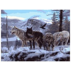 Картина по номерам Цветной "Волчья стая на скале", 30x40 см