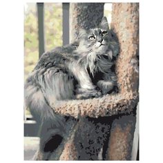 Картина по номерам Живопись по Номерам "Пушистая кошка", 30x40 см