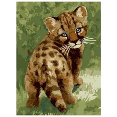 Картина по номерам Цветной "Детеныш леопарда", 30x40 см