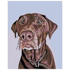 Картина по номерам Живопись по Номерам "Джаспер", 40x50 см