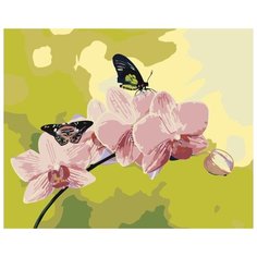 Картина по номерам Живопись по Номерам "Бабочки на цветках", 40x50 см