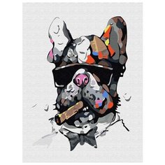 Картина по номерам Цветной "Брутальный пес", 30x40 см