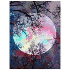 Картина по номерам Цветной "Неоновая луна", 30x40 см