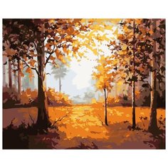 Картина по номерам Живопись по Номерам "Краски осени", 40x50 см