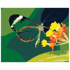 Картина по номерам Живопись по Номерам "Изящная бабочка", 40x50 см