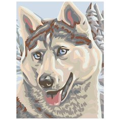 Картина по номерам Живопись по Номерам "Хаски", 30x40 см