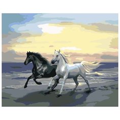 Картина по номерам Живопись по Номерам "Чёрная и белая", 40x50 см