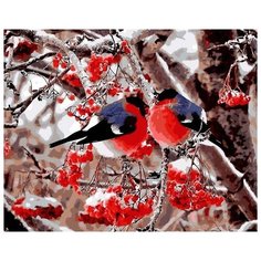 Картина по номерам Цветной "Снегири и рябина", 40x50 см