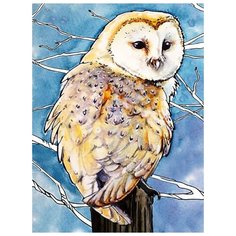 Картина по номерам Цветной (Premium) "Амбарная сова", 30x40 см