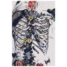 Картина по номерам Живопись по Номерам "Скелет и птицы", 40x60 см