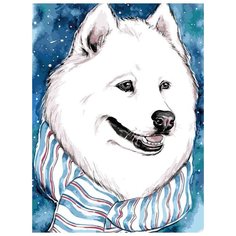 Картина по номерам Цветной (Premium) "Белый друг", 30x40 см