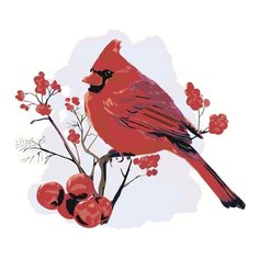 Картина по номерам Живопись по Номерам "Красный кардинал", 40x50 см