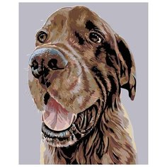 Картина по номерам Живопись по Номерам "Ясон", 40x50 см